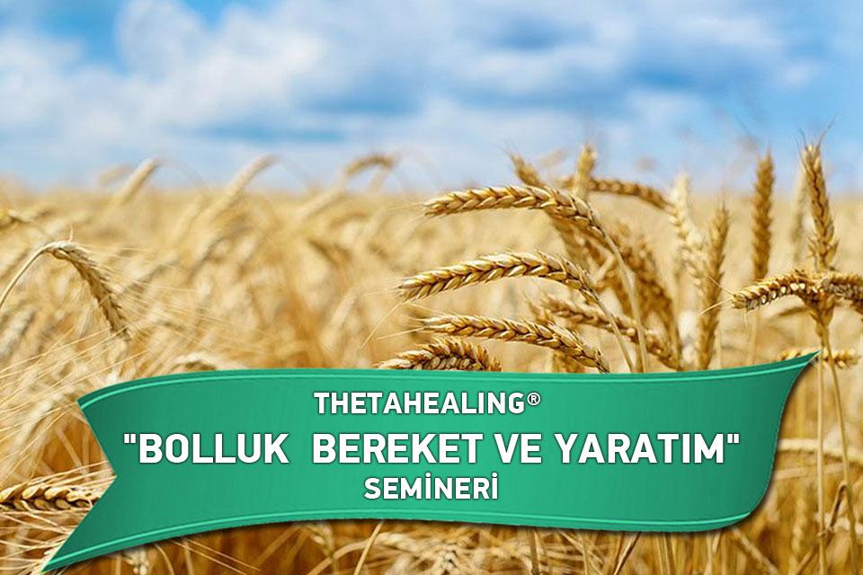 Blue Lotus Akademi / Holistik Şifa-THETAHEALING®  BOLLUK BEREKET VE YARATIM SEMİNERİ